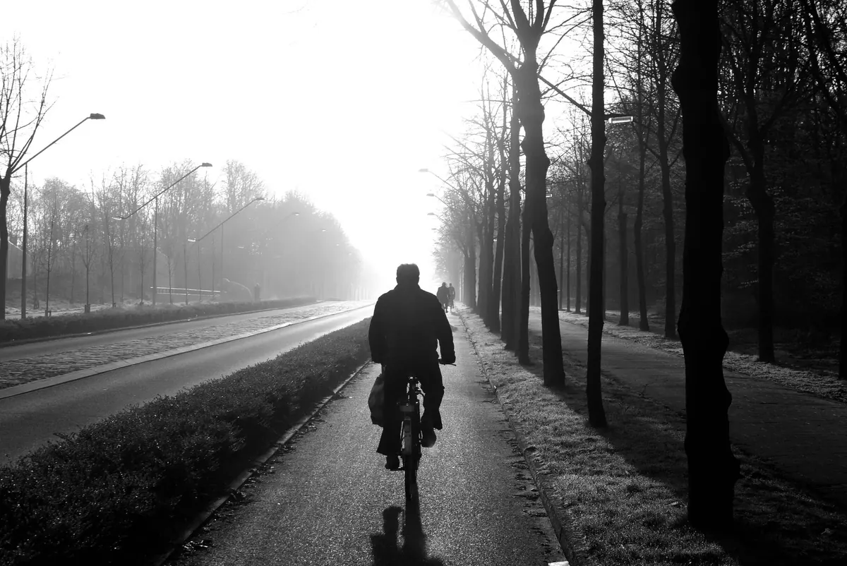 Fog Safety for Cyclists and Runners: A Beginner's Guide
